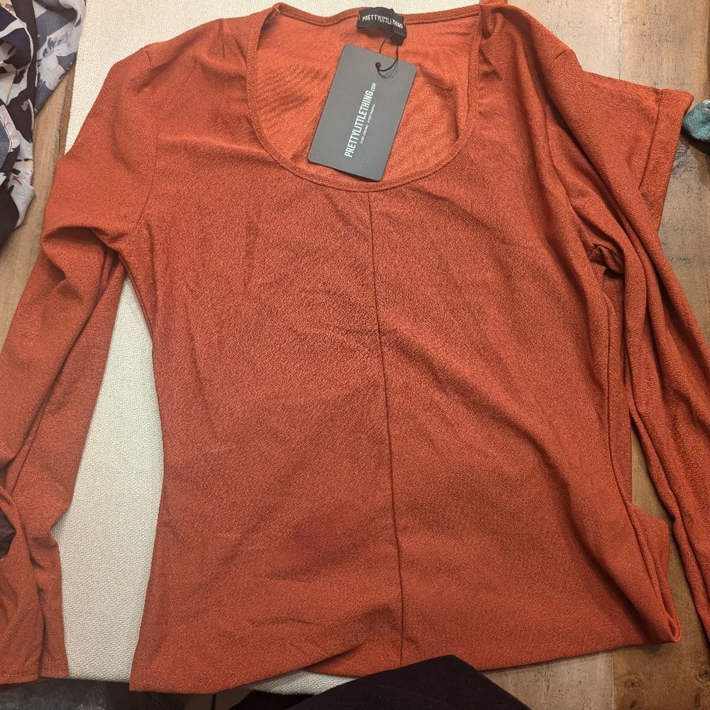 PLT Burnt Orange Maxi Dress with Long Sleeves.